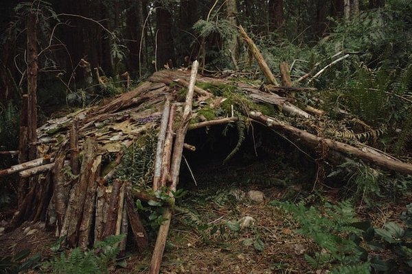 Construire un abri de survie avec des matériaux naturels